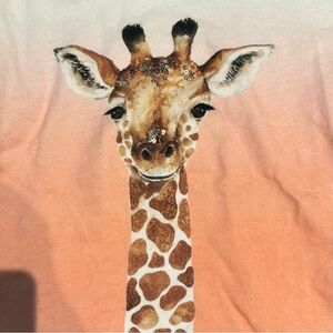 H&M K Kijak Giraffe Ombré Sweatshirt EUC Girls Size 6-8Y